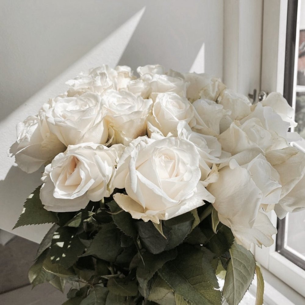 Букет белых роз Эстетика