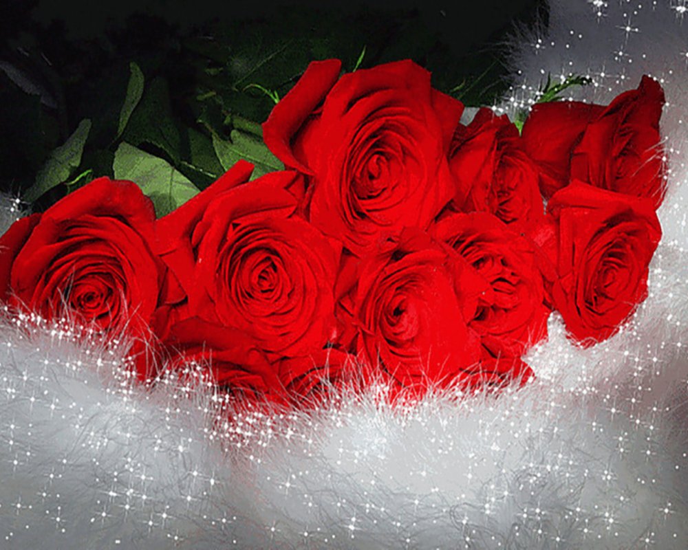 Букет красных роз для тебя
