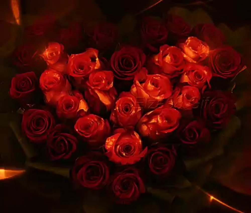 Букет алых роз для любимой