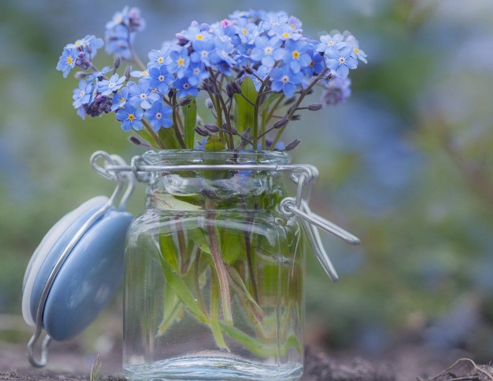 Полевые цветы в прозрачной вазе