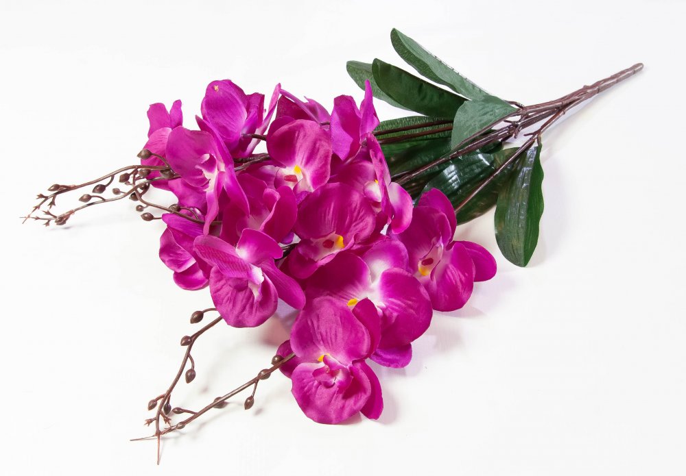 Букет 5 орхидей
