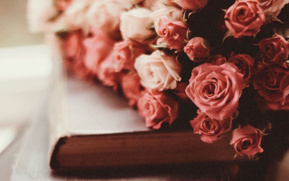 Эстетика розы и книги