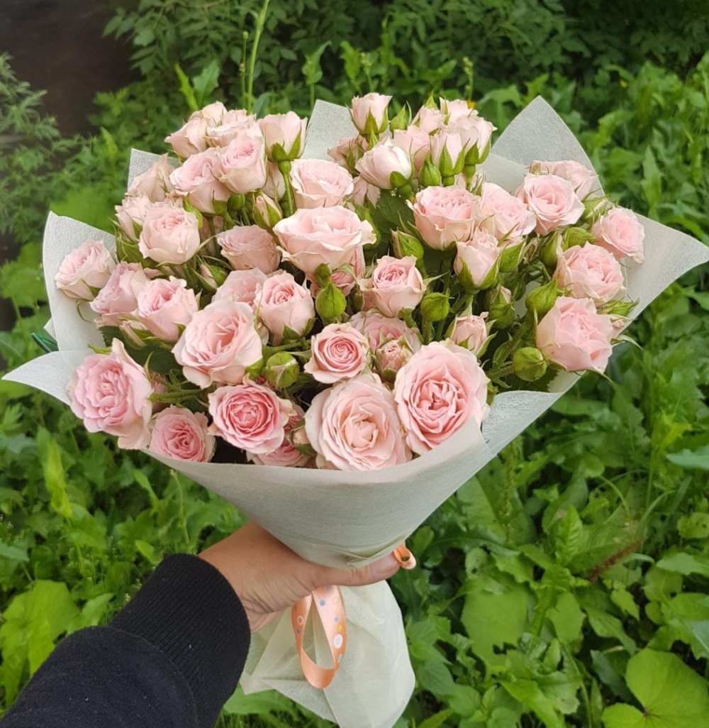 Хризантема Гиперикум роза альстромерия