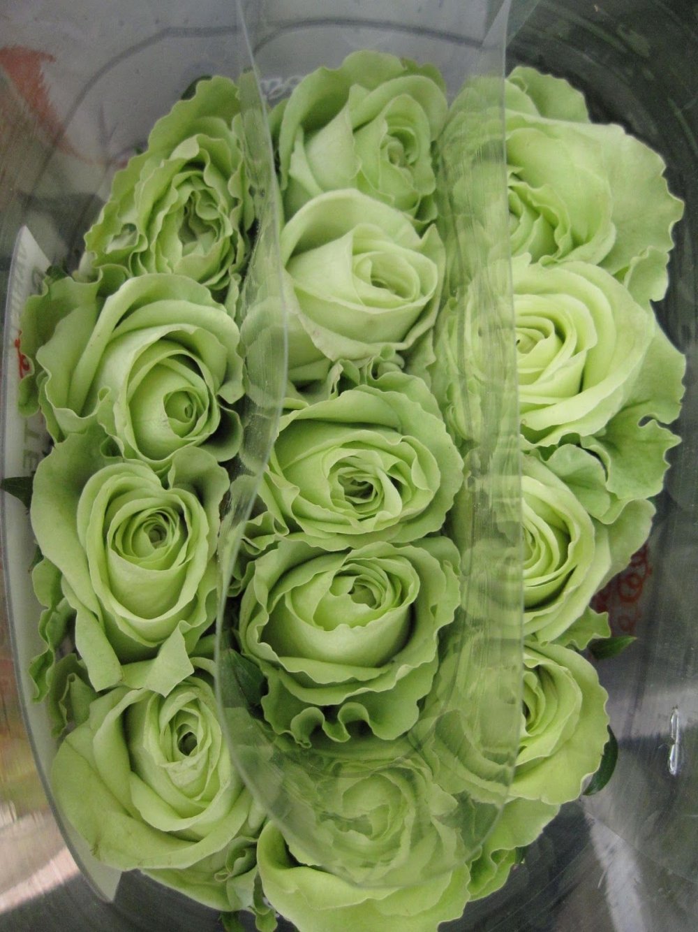 Розы в зеленой упаковке
