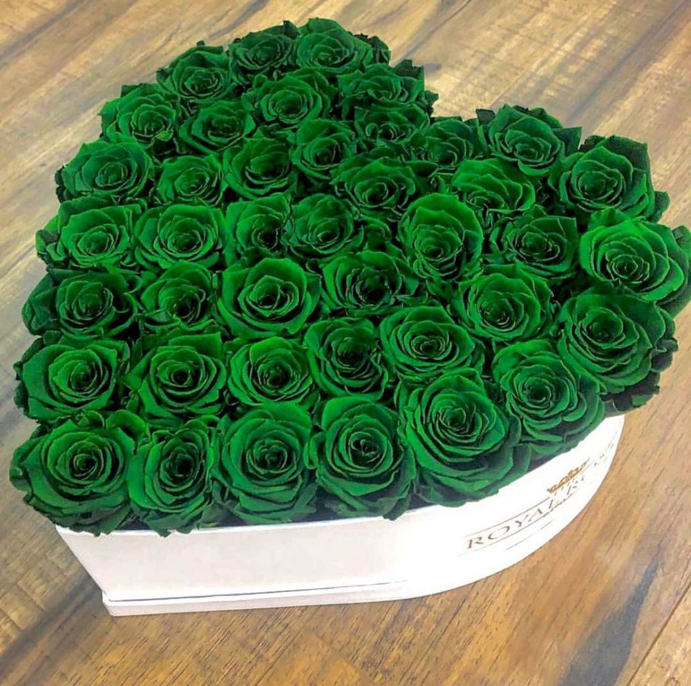 Салатовые розы букет