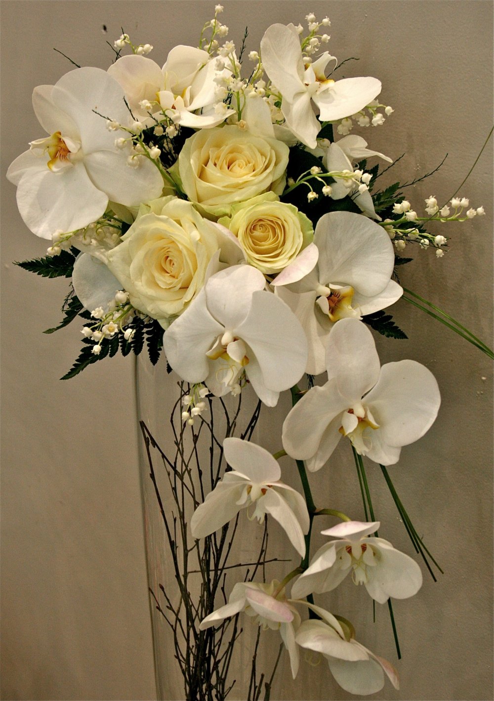 Орхидея White Cascade