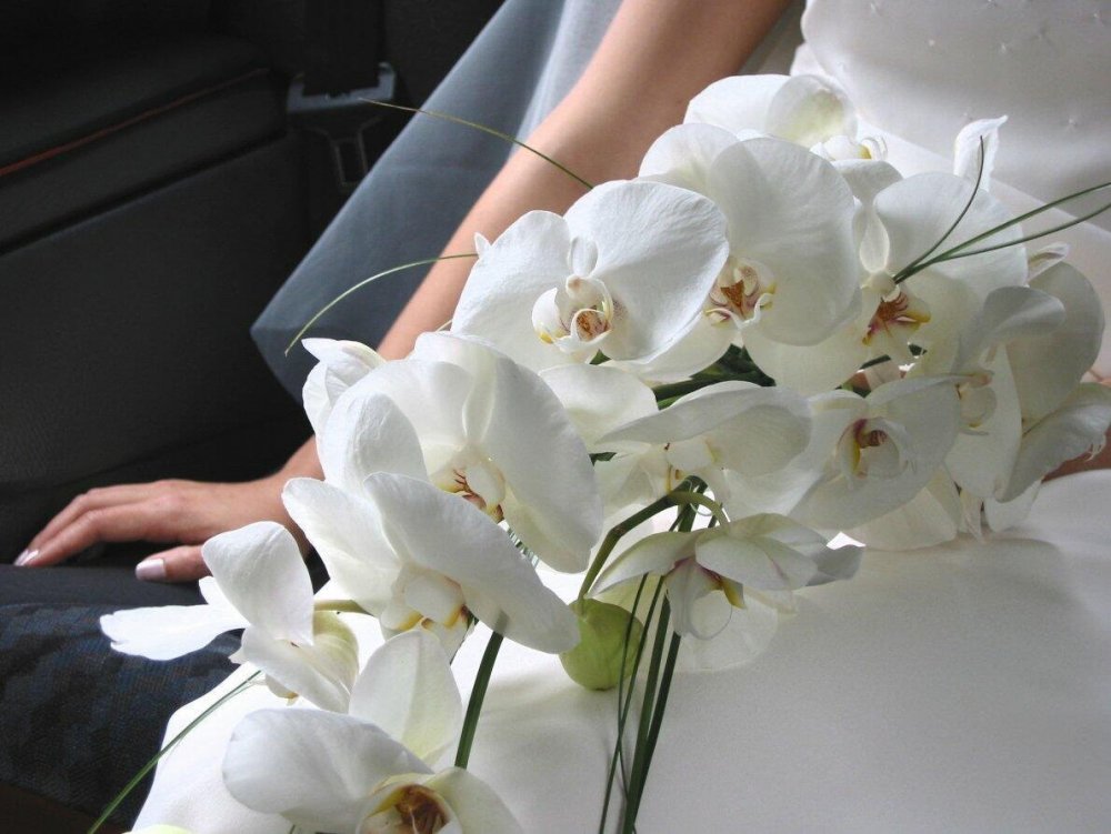 Букет орхидей в руках