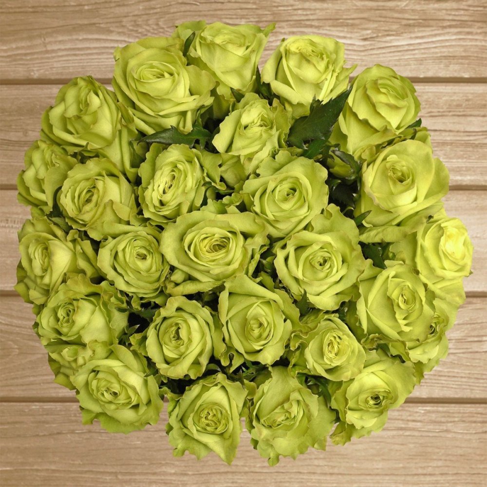 Роза зеленая Мондиаль лимон лайм