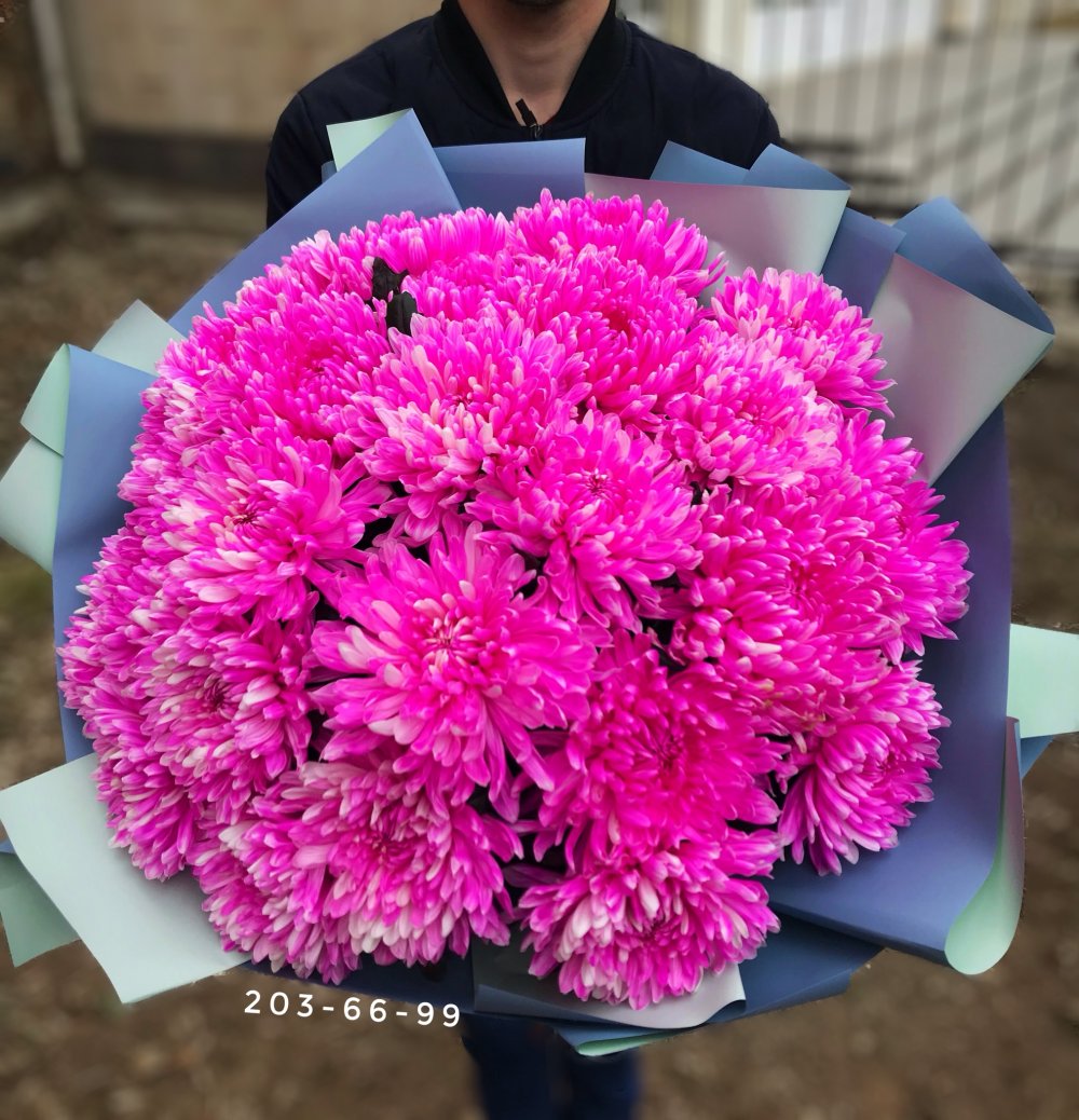 Хризантема одноголовая розовая