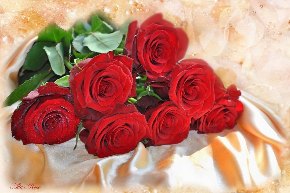 Розы для любимой
