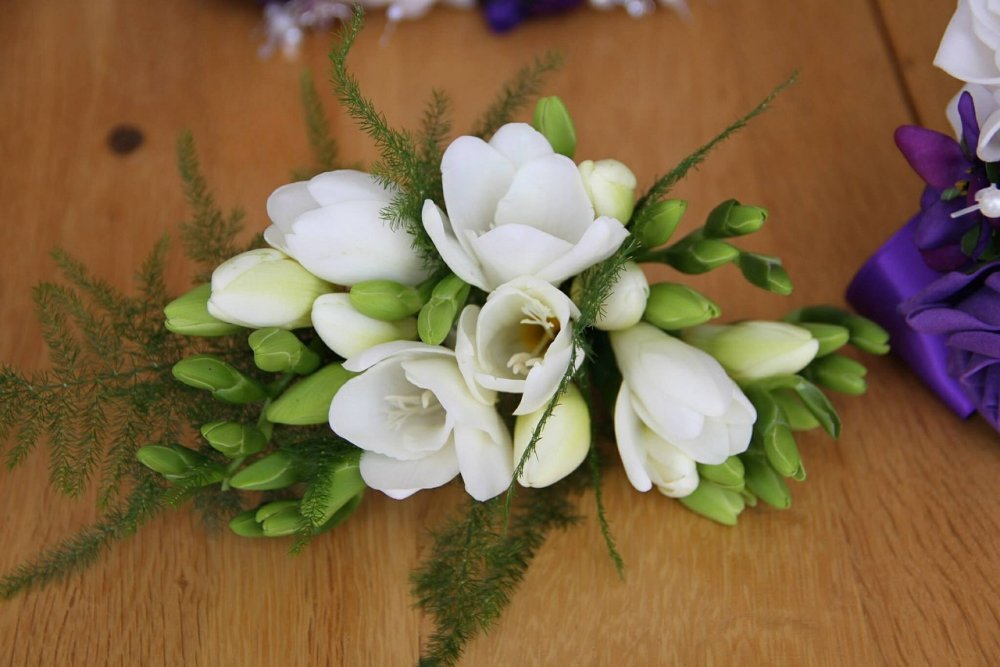 Цветок фрезия белая букет