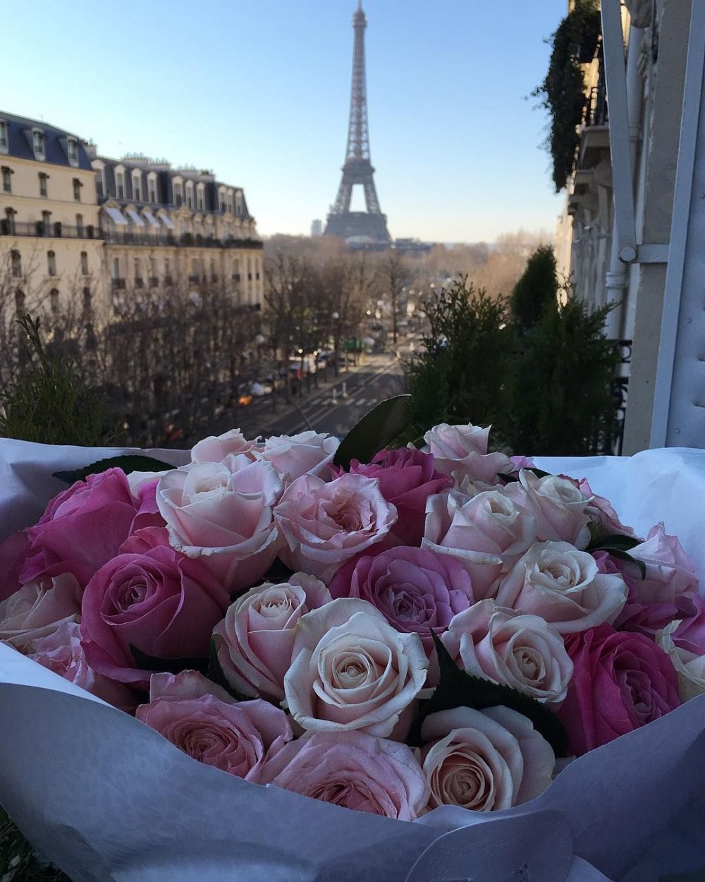 Париж в цветах