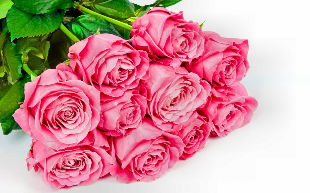 Букет роз на белом фоне