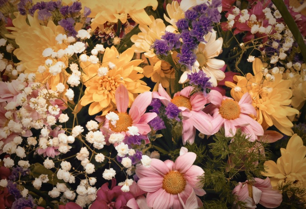 Разноцветные цветы в вазе