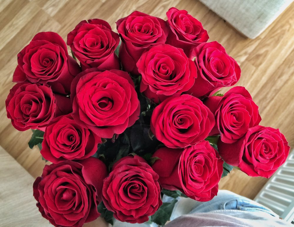 17 Красных роз ред Наоми