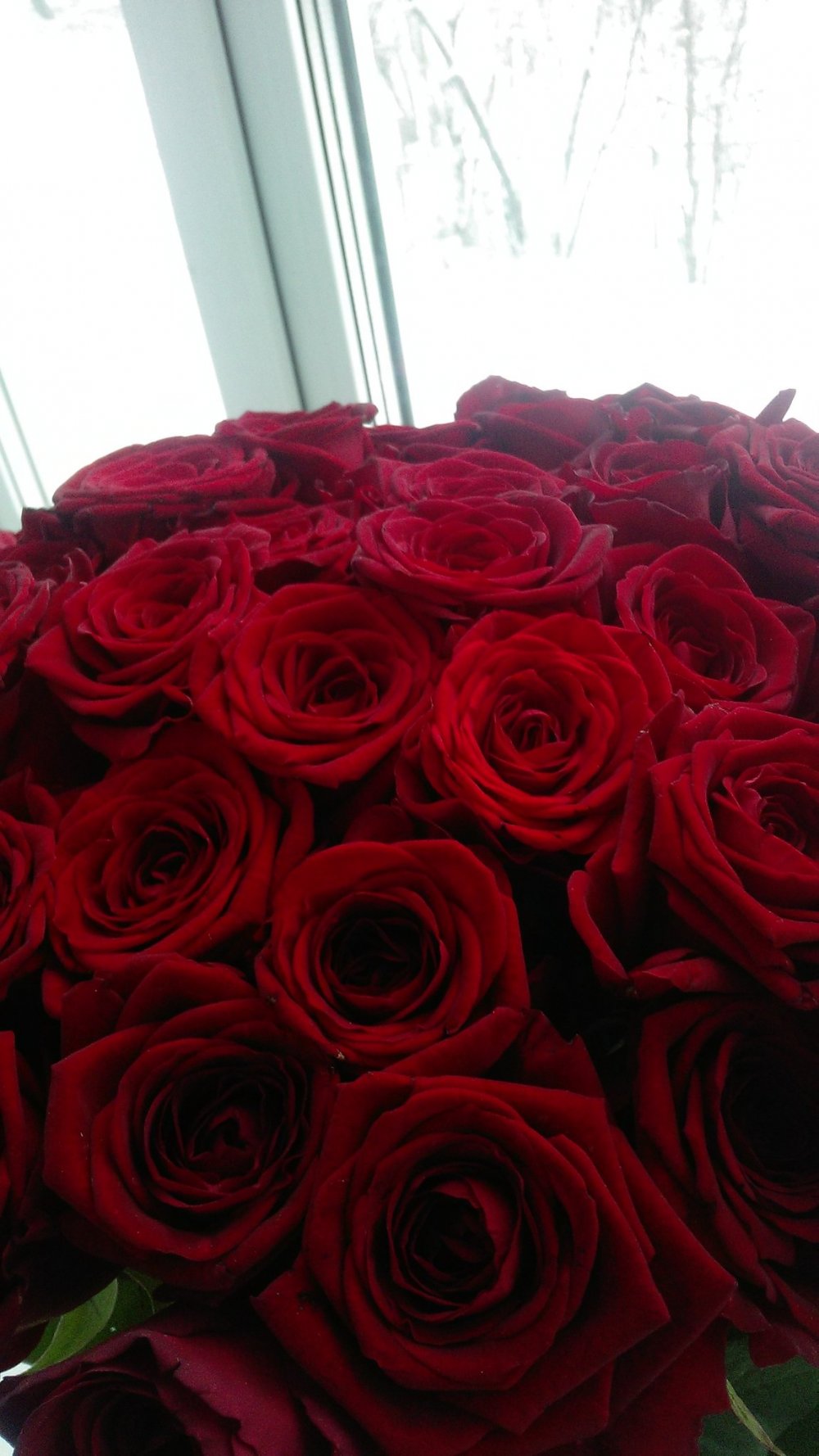 Букет красных роз дома