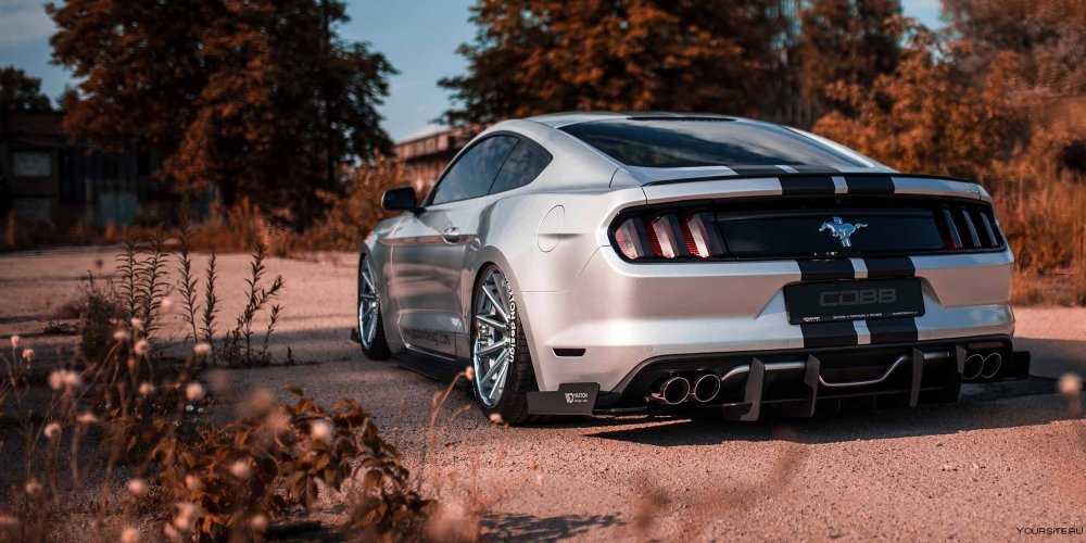 Ford Mustang ECOBOOST Tuning