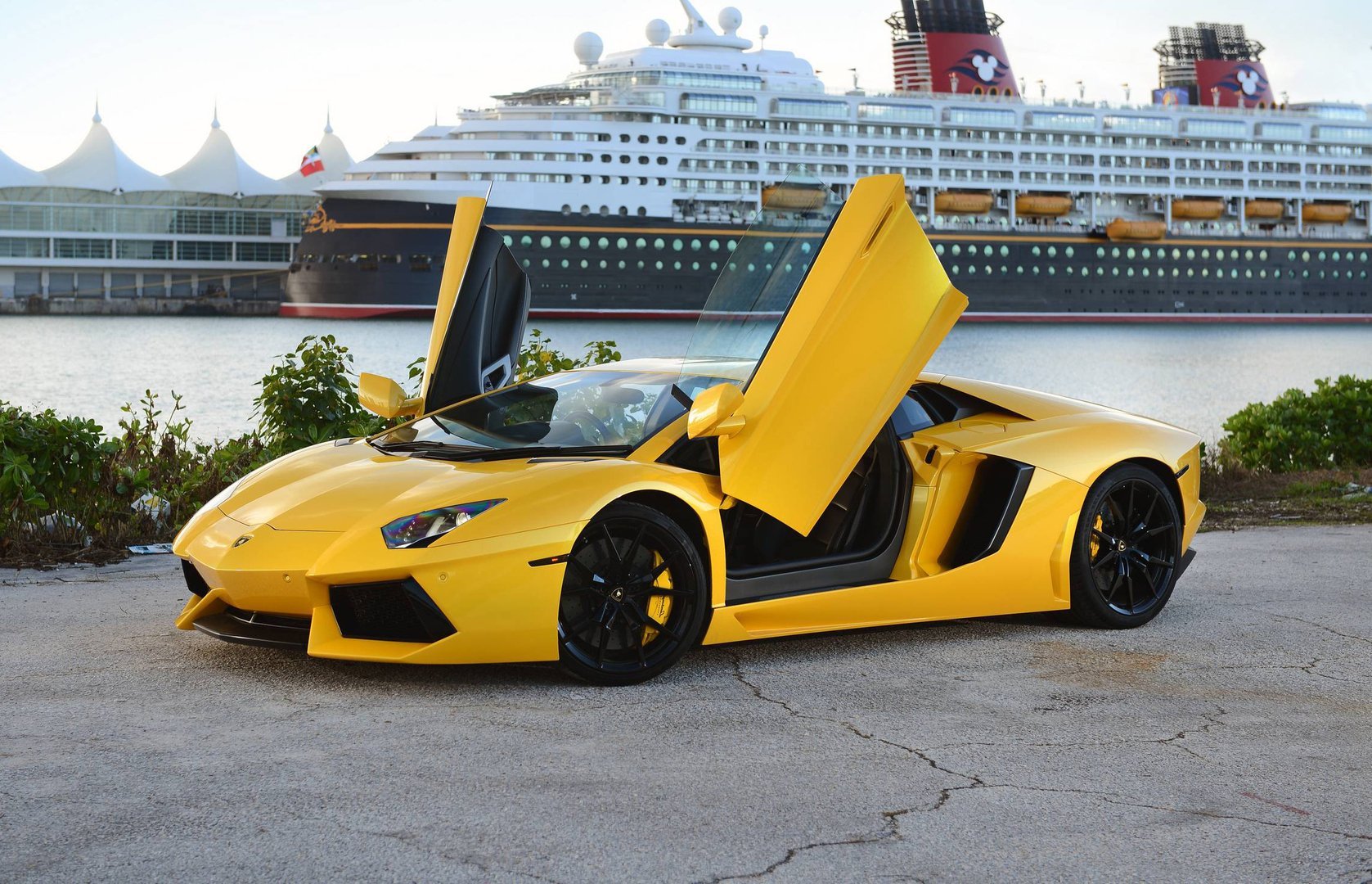 Самый дорогой желтый. Ламборджини авентадор желтый. Lamborghini Aventador желтый. Жёлтый Ламборгини Ламборгини желтая. Lamborghini Aventador j желтый.