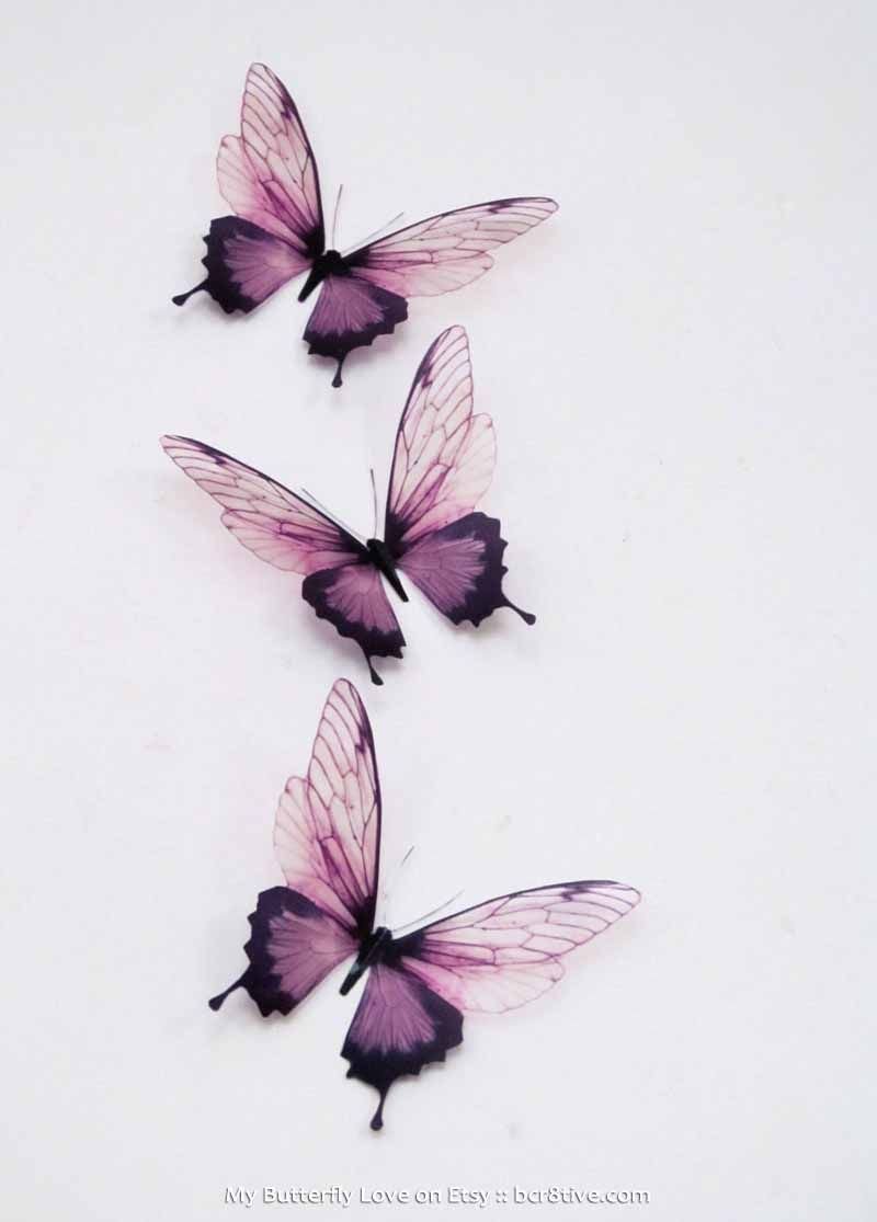 Черные бабочки Эстетика