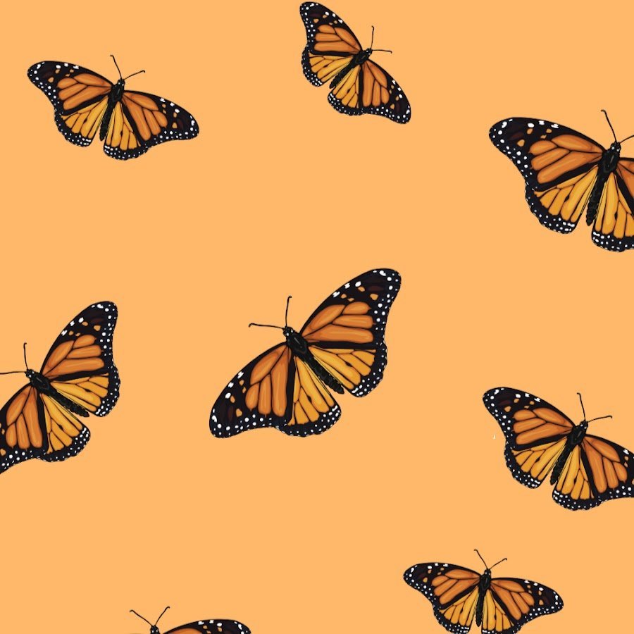 Рисование удивительные бабочек
