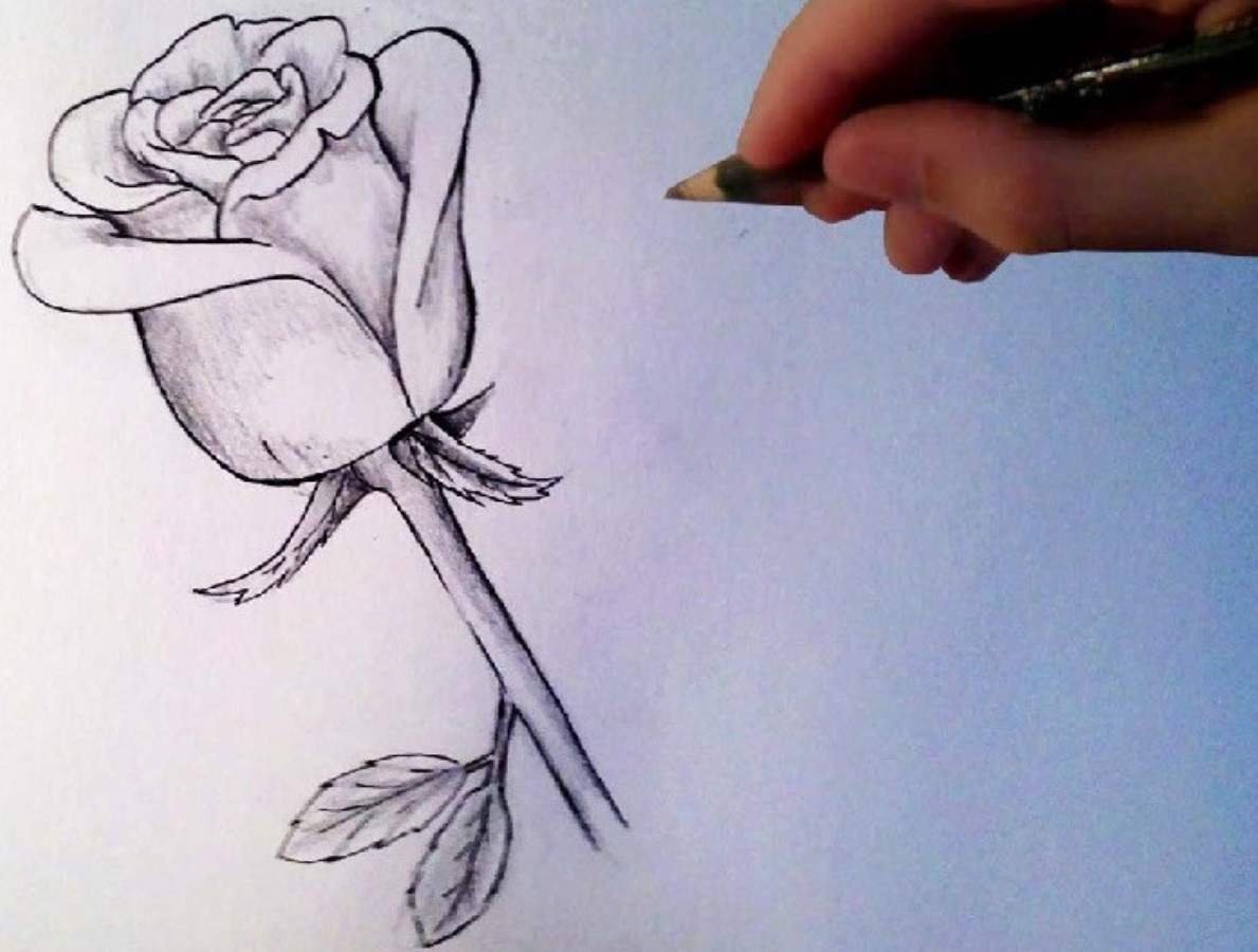 Рисунок это. Роза карандашом. Красивые несложные рисунки. Роза для срисовки. Красивые рисунки карандашом для срисовки.