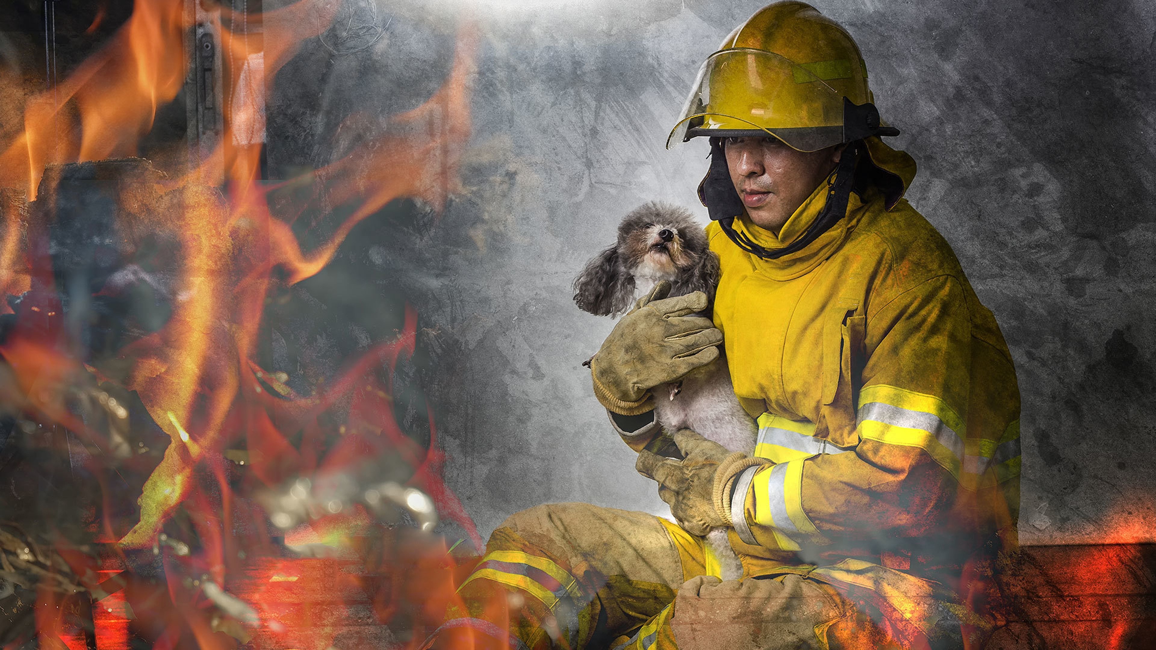 Что едят пожарники. Пожарные на пожаре. Пожарный спасает. Пожарные спасают людей из огня. Спасение животных на пожаре.