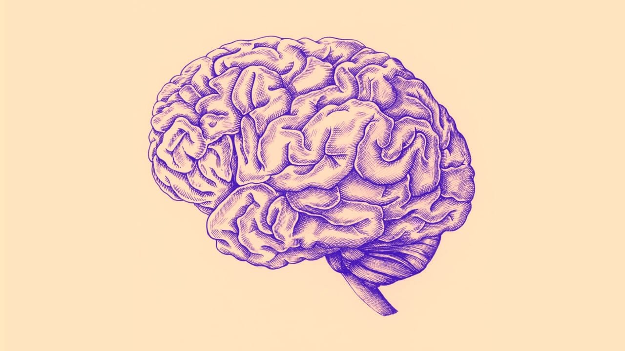 Brain 2 12. Мозг рисунок. Мозг узор. Мозг гравюра. Мозг рисовать.