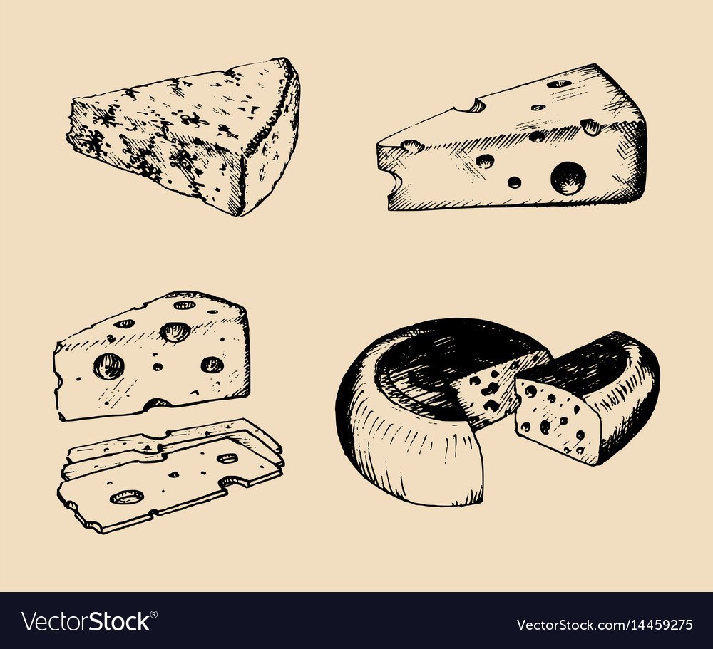 Контуры продукты сыр скетч