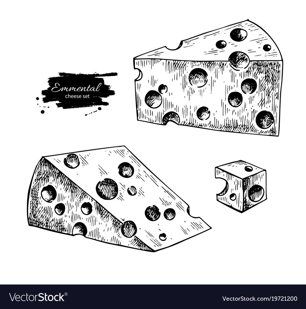Технический рисунок сыра
