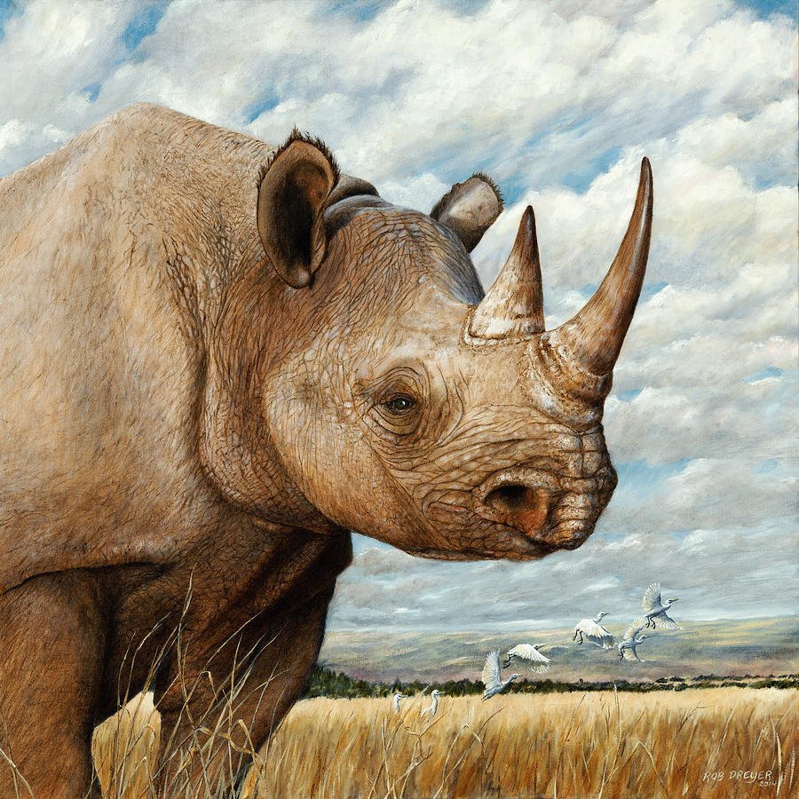 Носорог арт
