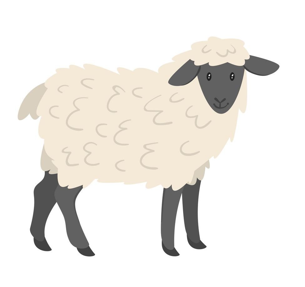 Набросок изображения овцы