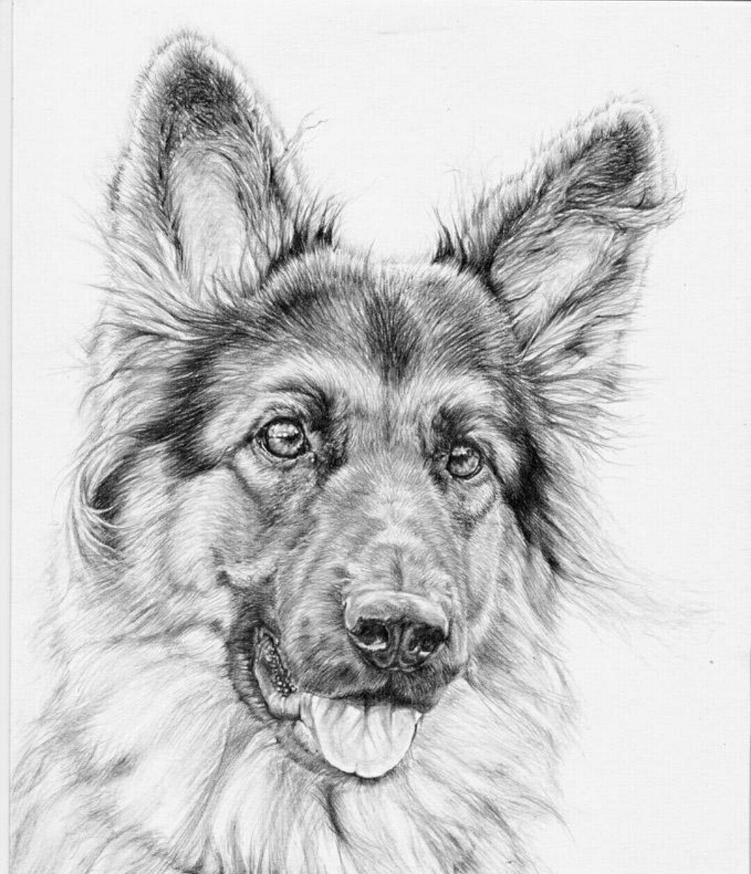 Нарисовать животных простым карандашом. Животные рисунки. Собака рисунок. Рисунки животных карандашом. Собака карандашом.