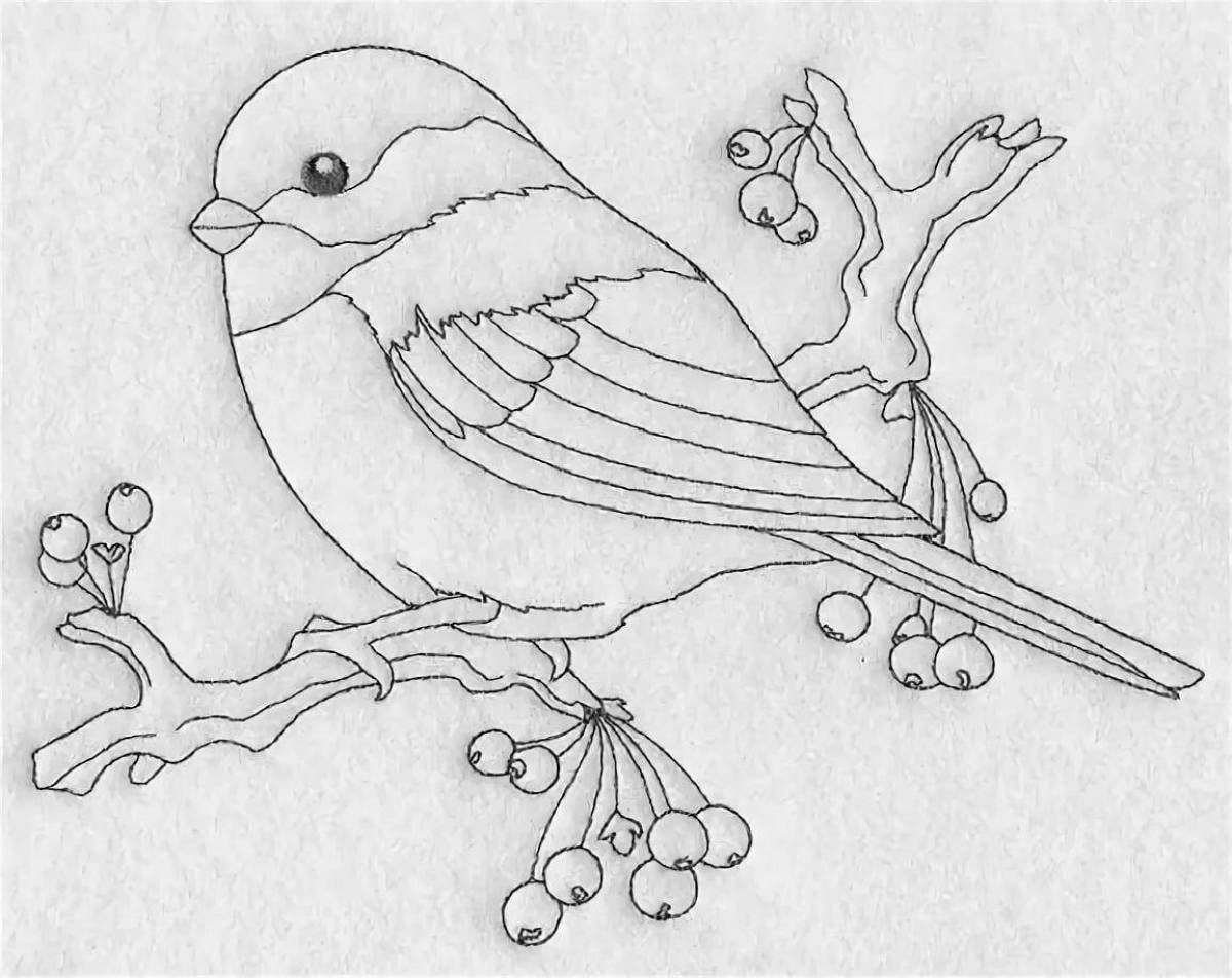 Рисунки птиц для срисовки легкие. Снегирь раскраска. Птица карандашом. Птицы для срисовки. Рисунки птичек для срисовки.