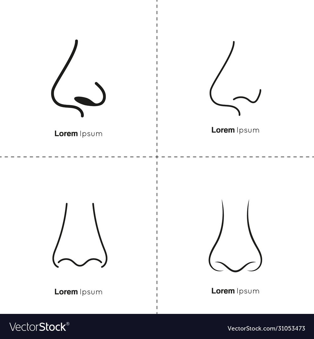 Векторный нос