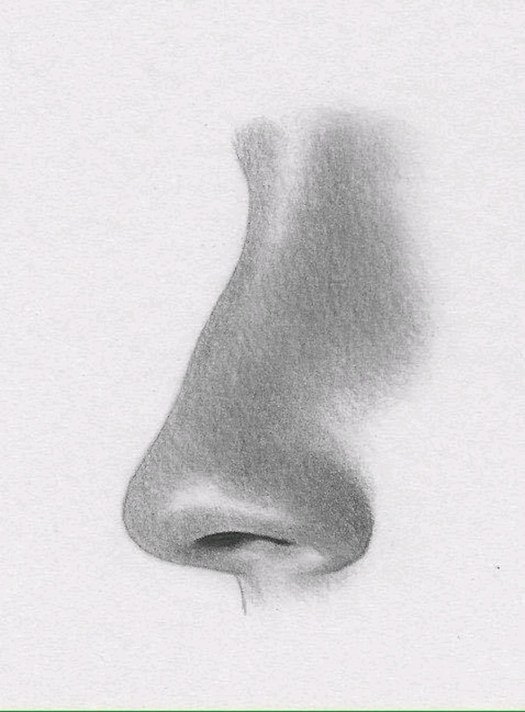Покажи картинки носа. Нос рисунок. Зарисовки носа. Зарисовки носа карандашом. Нос карандашом.