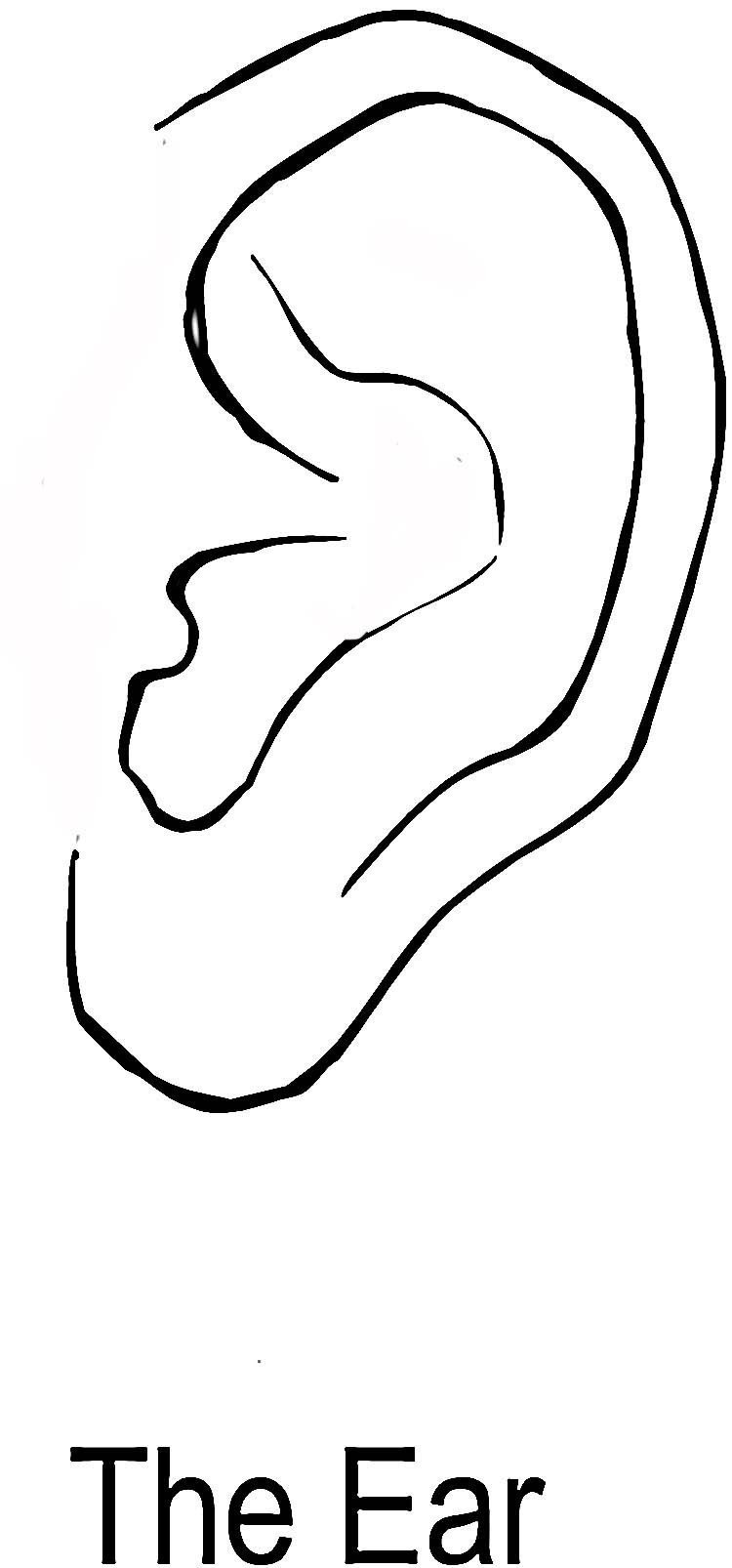 Стилистики рисования носа