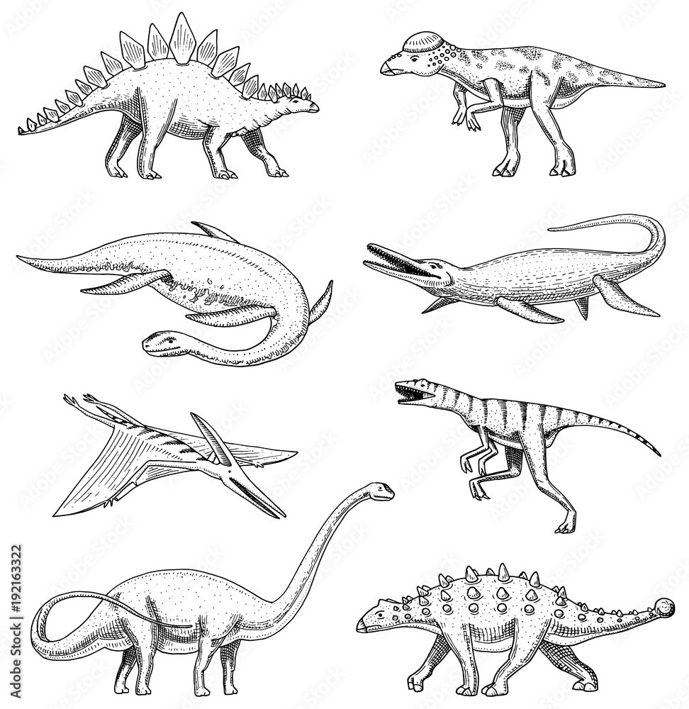 Плезиозавр раскраска