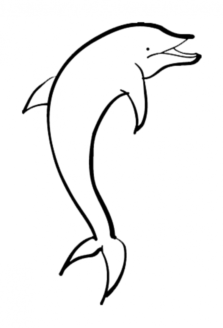 Дельфин раскраска на английском