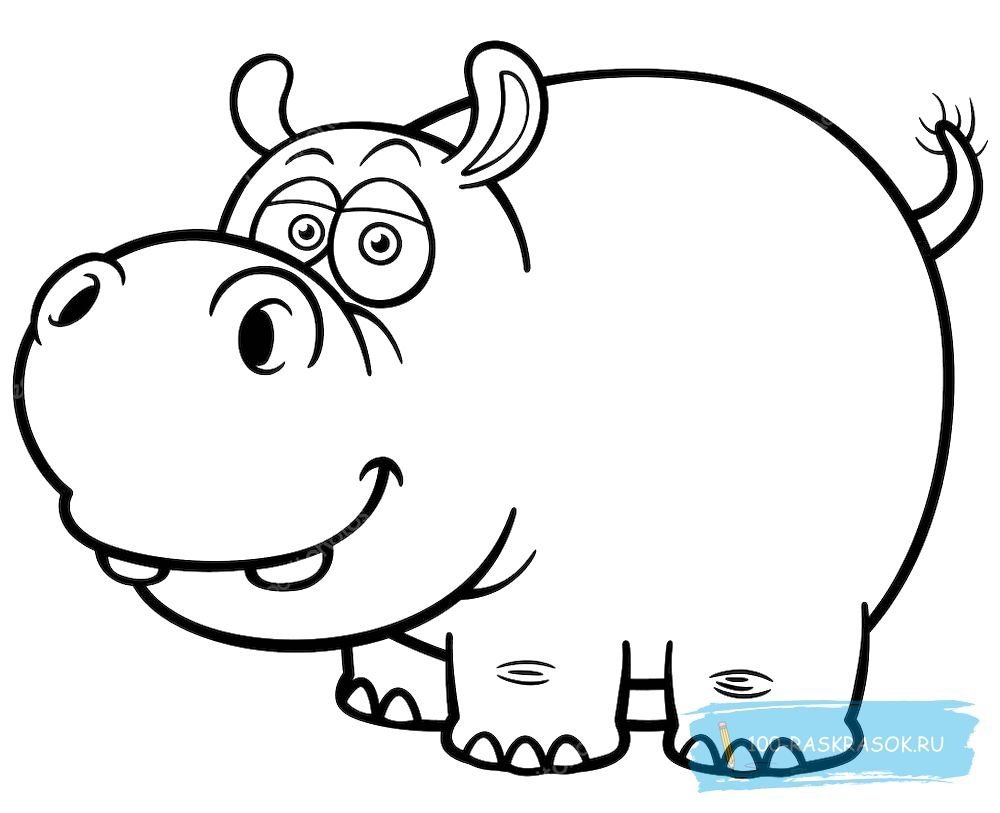 Hippo раскраска для детей