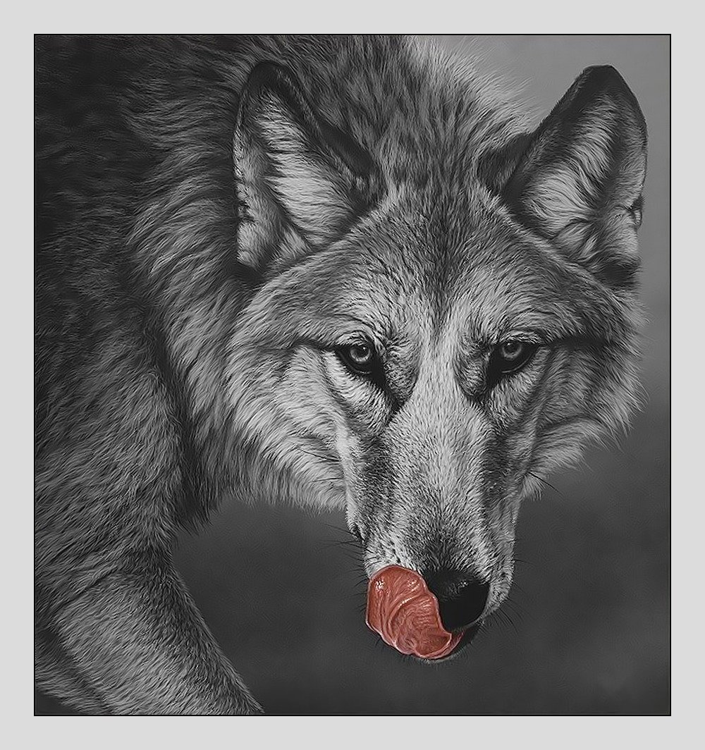 Картина волки