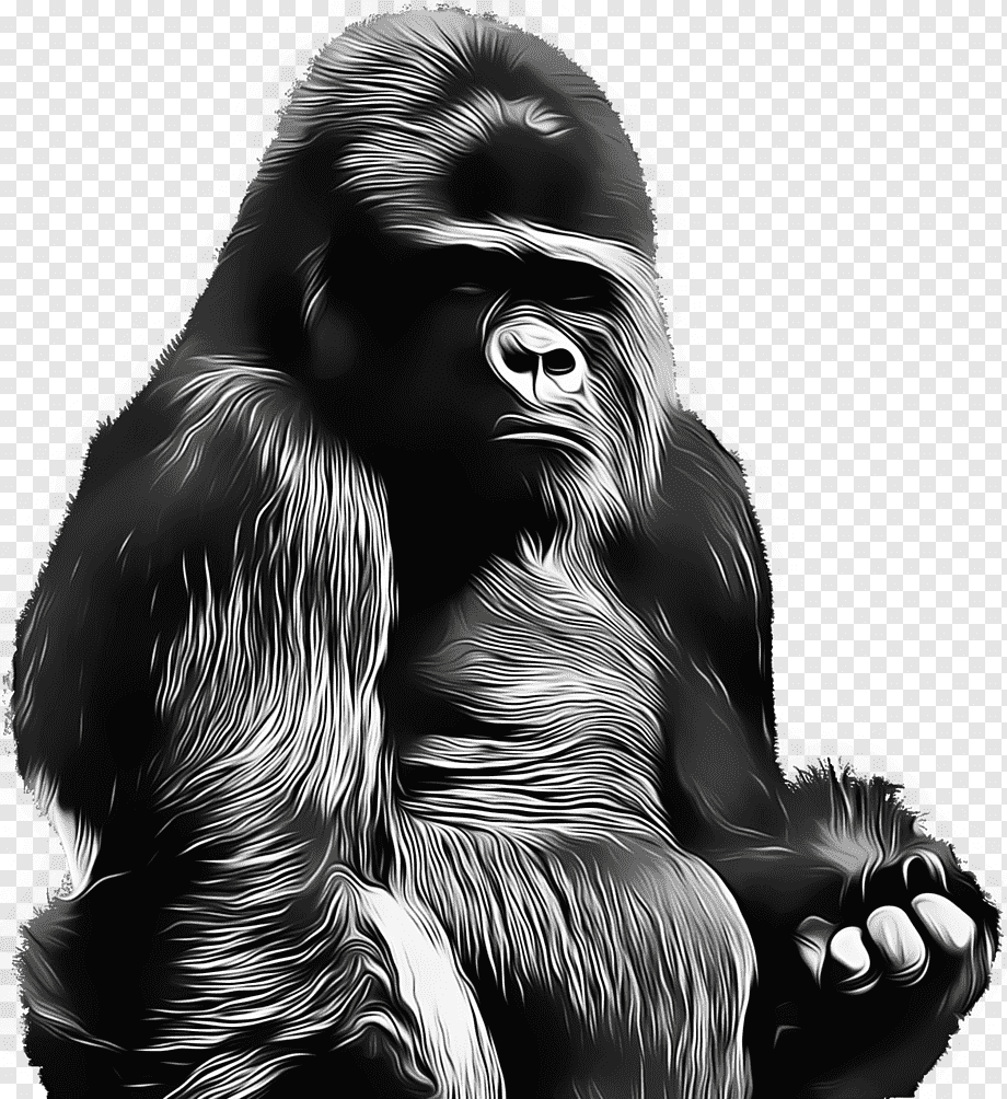 Красивые рисунки гориллы
