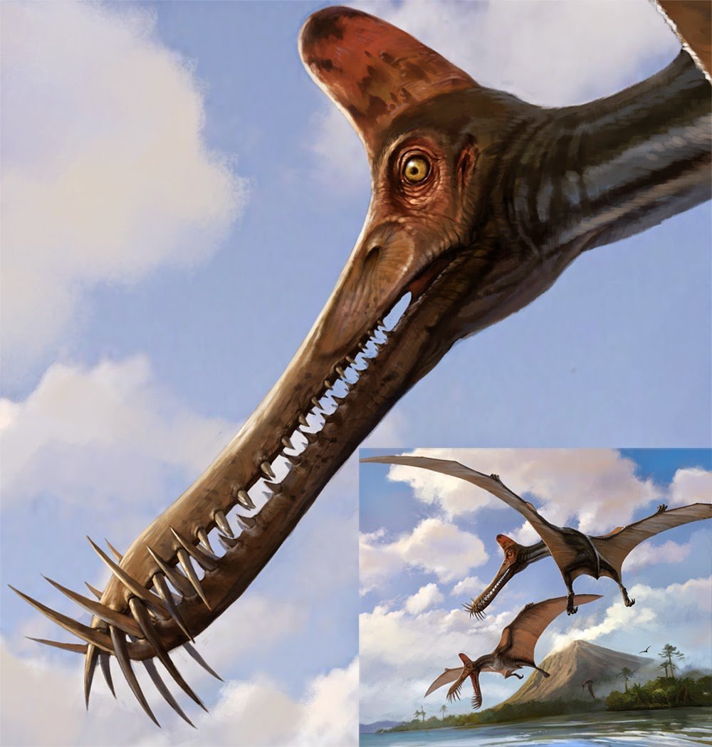 Птерозавр орнитохейрус