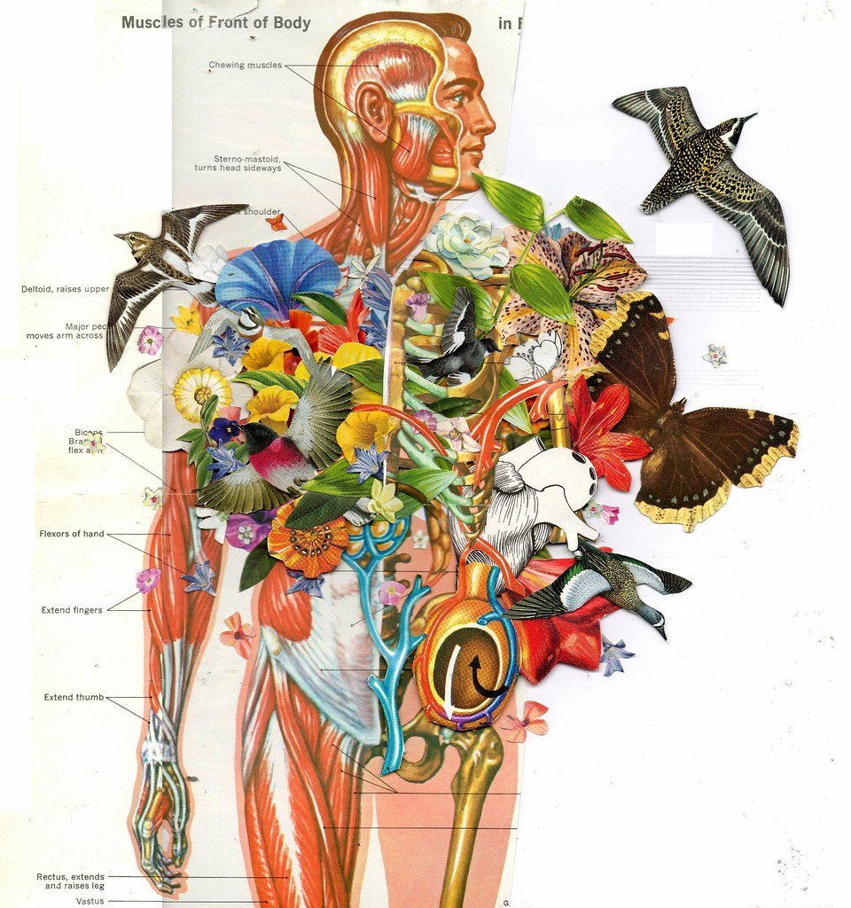 Креативные рисунки по анатомии