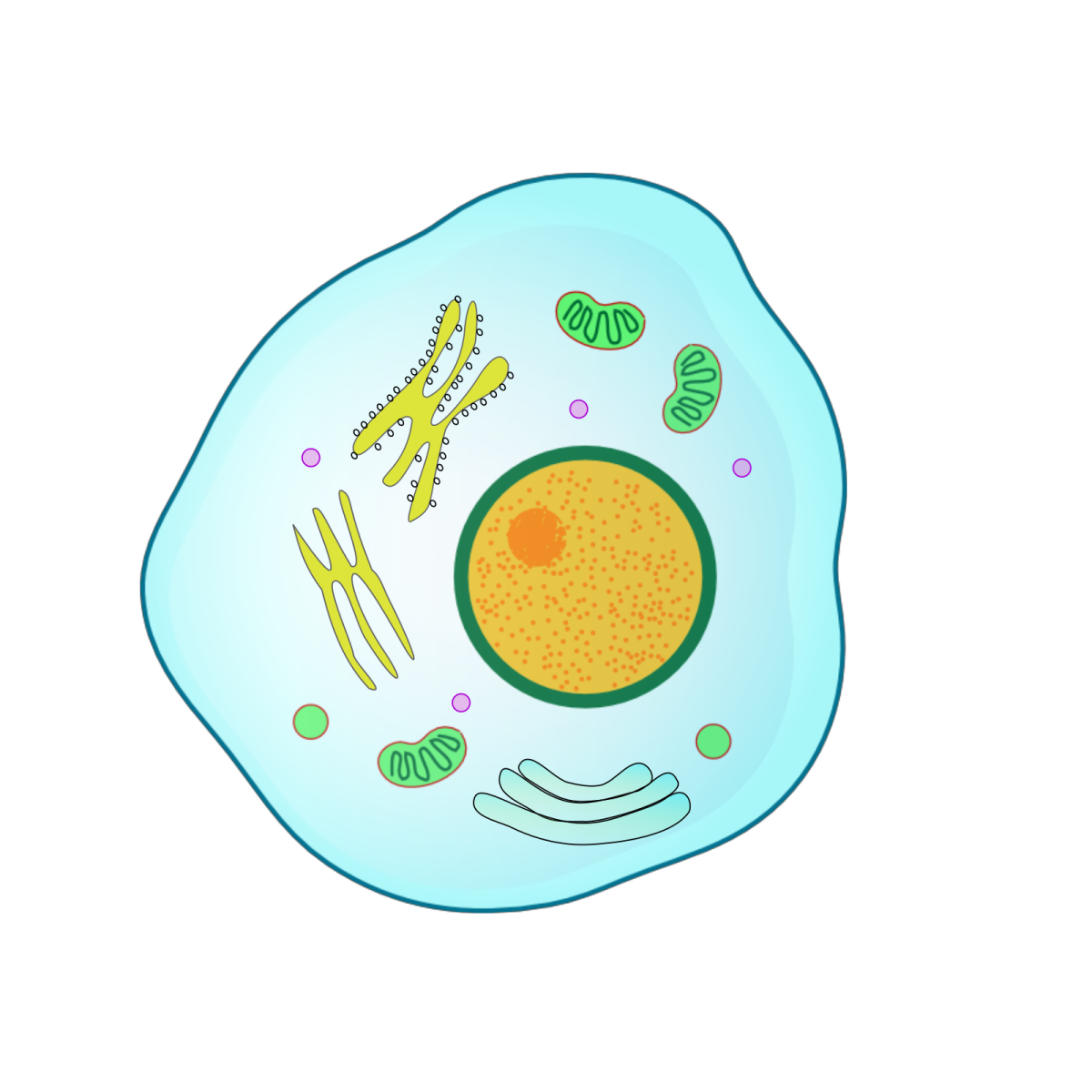 Нарисовать живой организм. Клетка биология. Изображение клетки. Живая клетка рисунок. Клетка живого организма.