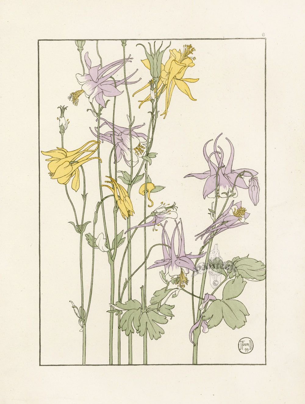 Botanical Print 19 век