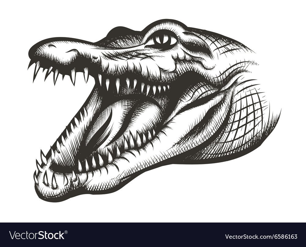 Рисунок крокодил в Ниле