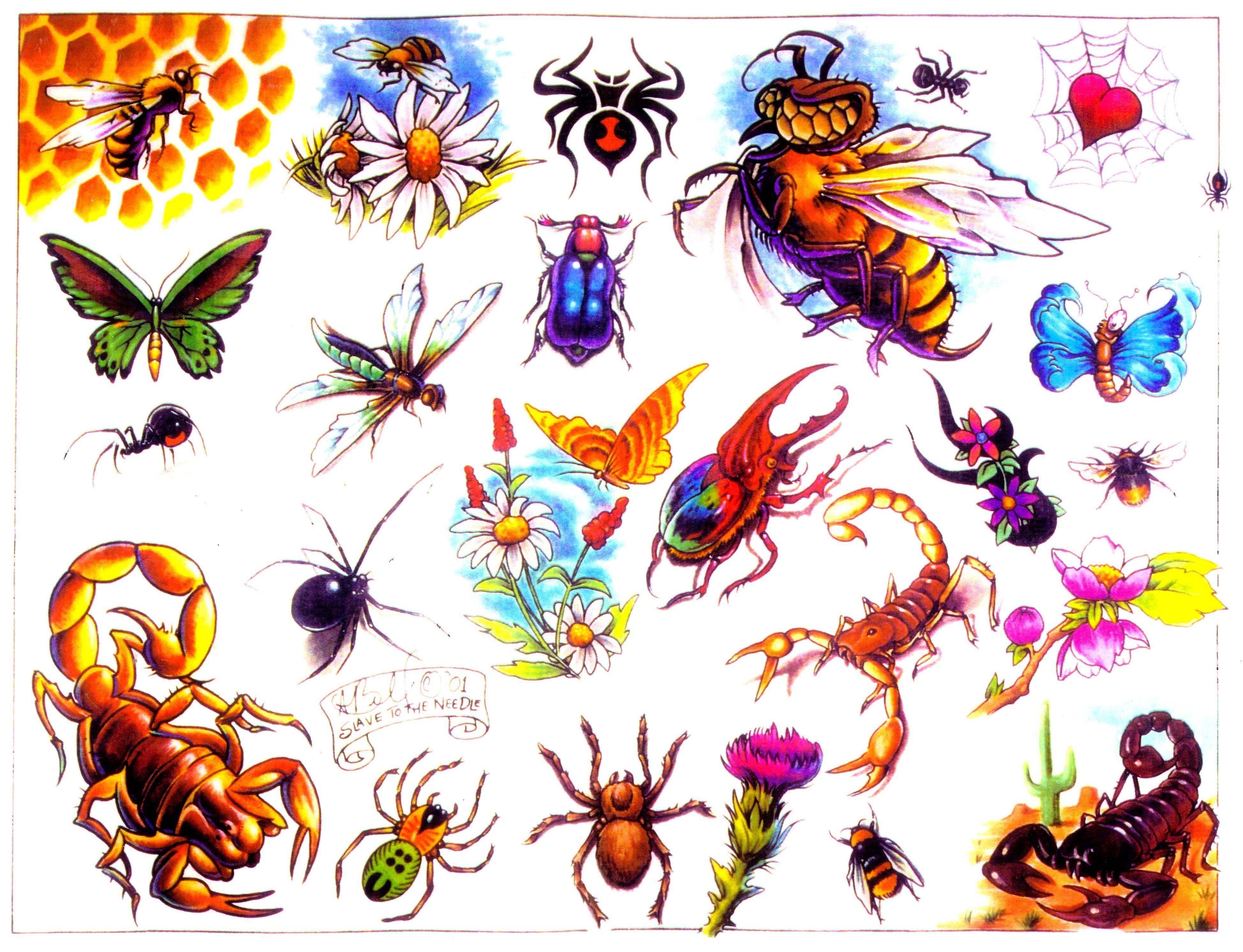 Картинки насекомых для детей цветные. Насекомые картинки для детей. Насекомые рисунок для детей. Насекомые для дошкольников. Изображение насекомых для детей.