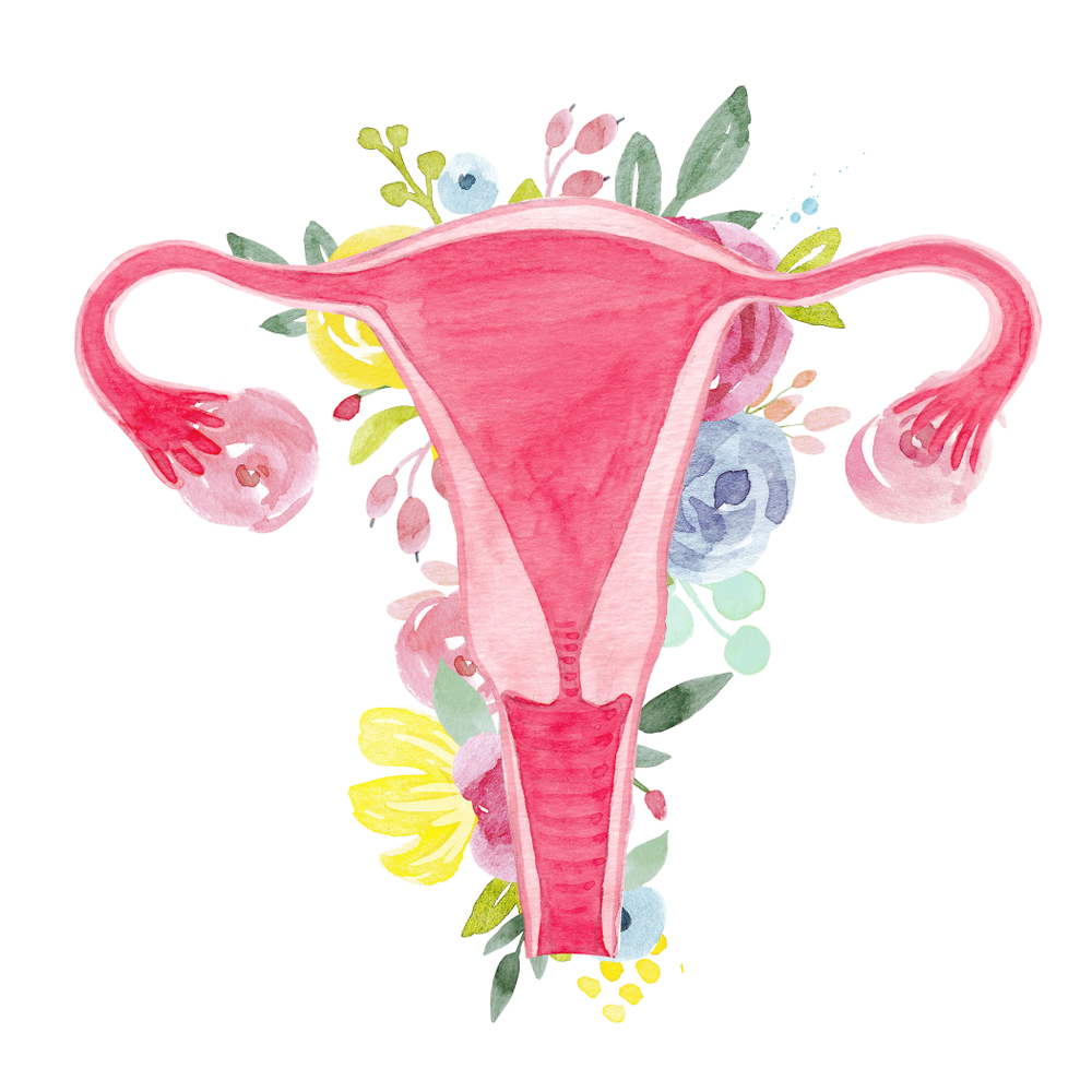 Половые органы женщины в цветах
