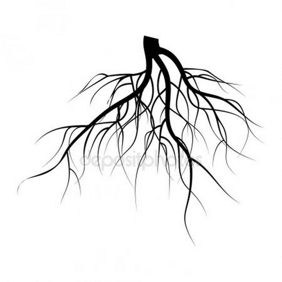 Дерево с корнями чб