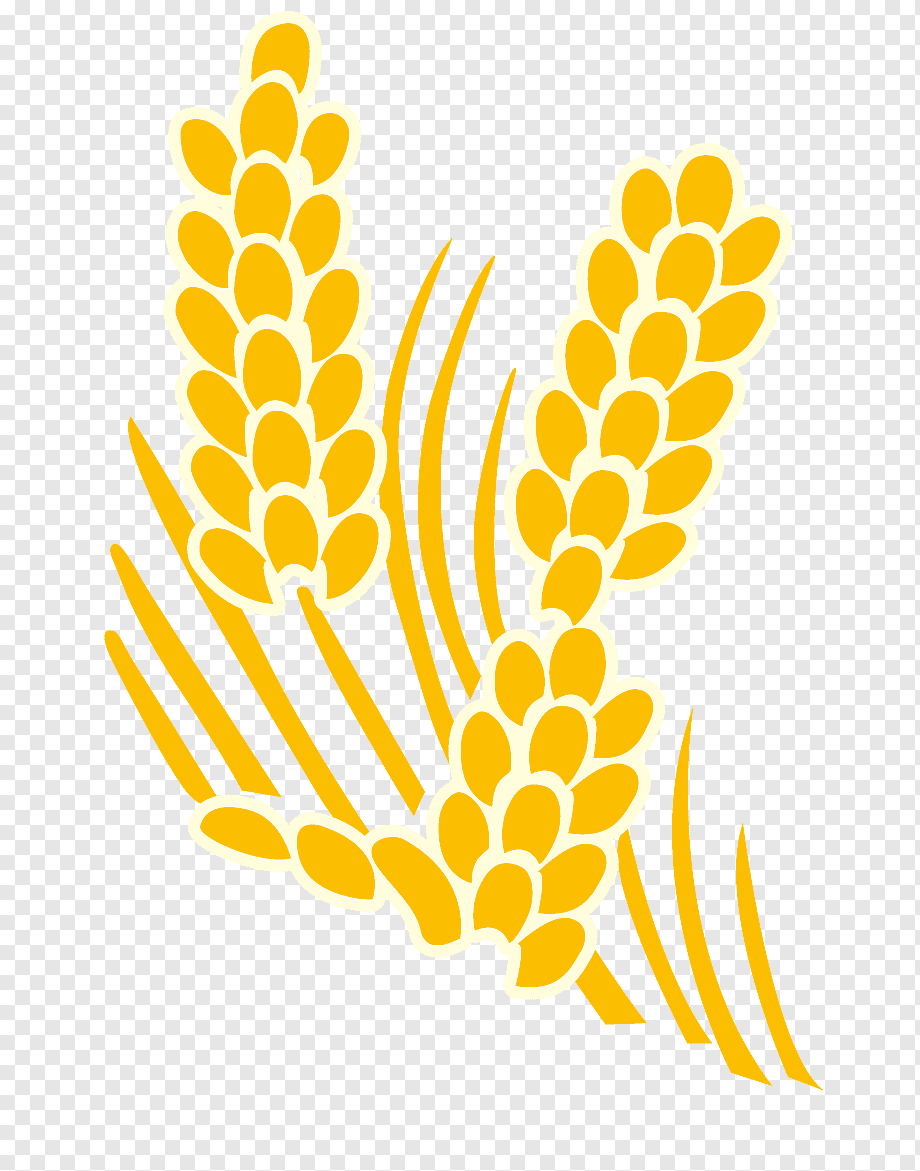 Раскраска колосок пшеницы для детей